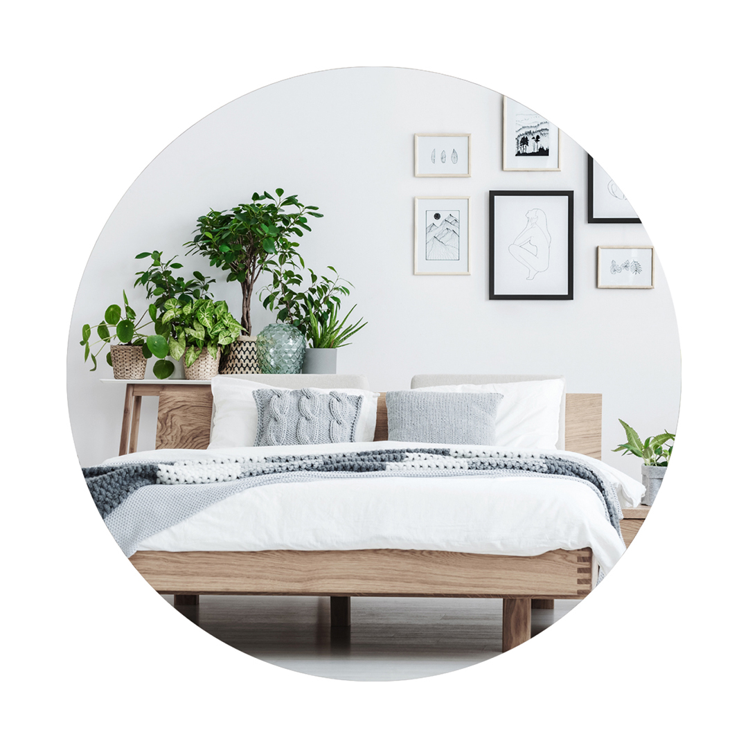 Chambre Grimpe Aux Rideaux